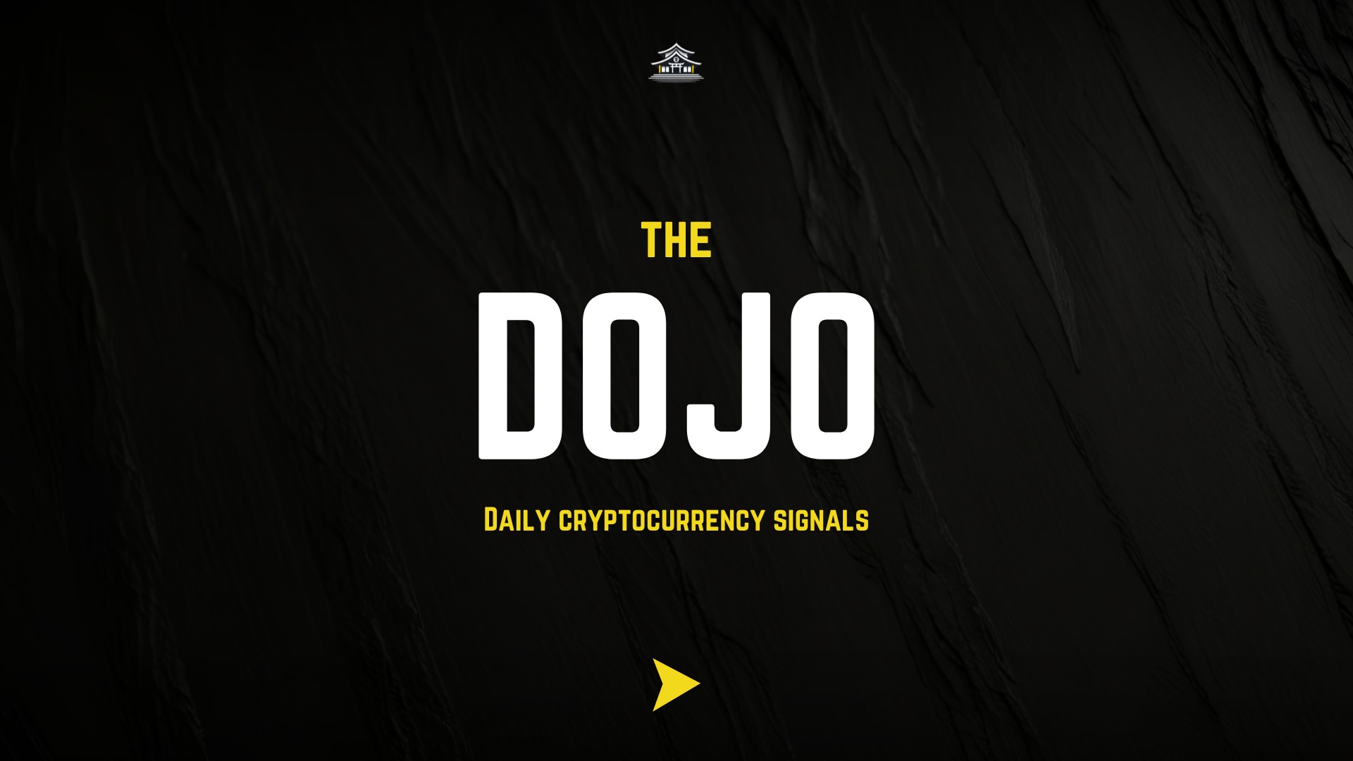 The Dojo