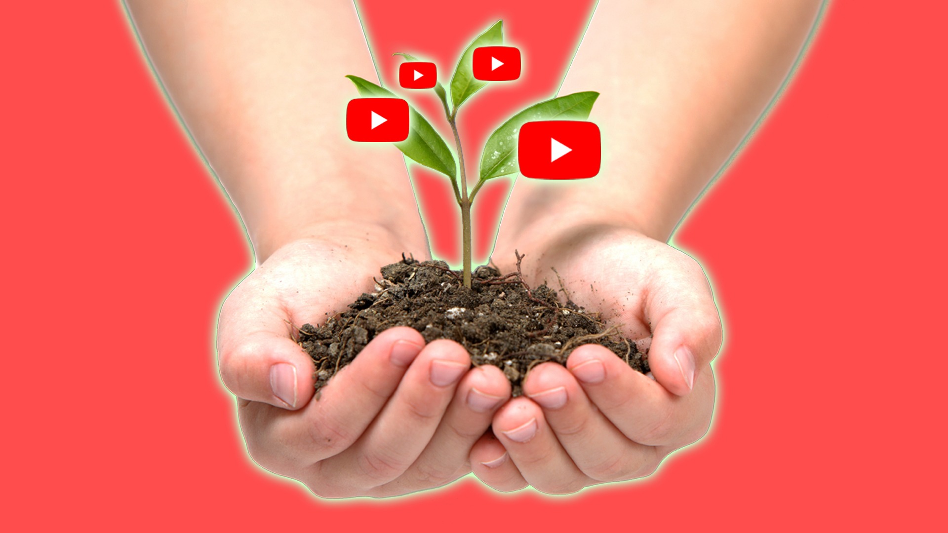 Growing YouTubers