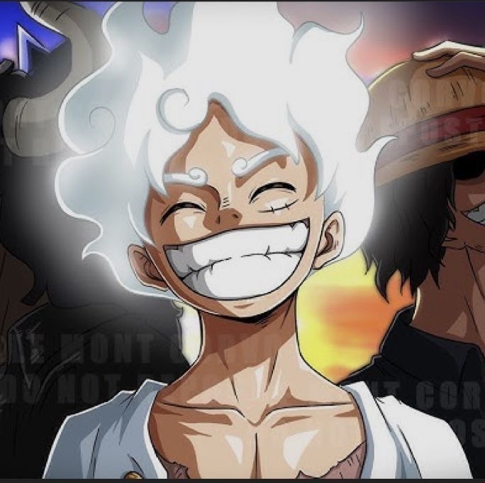 One piece coin