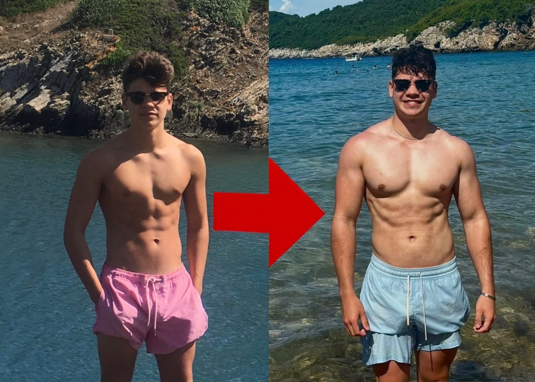 The Muscle Building Program