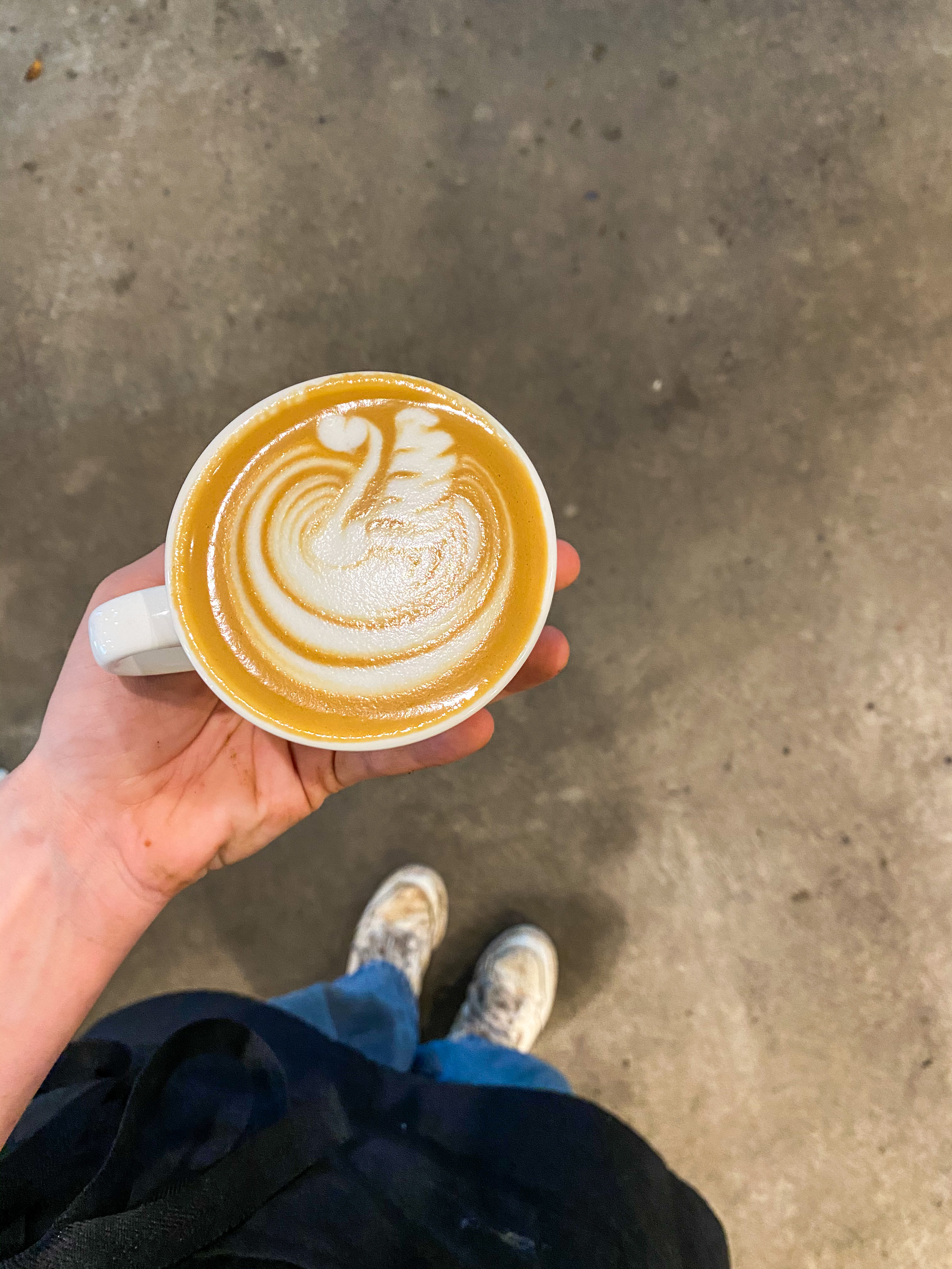Barista Basics