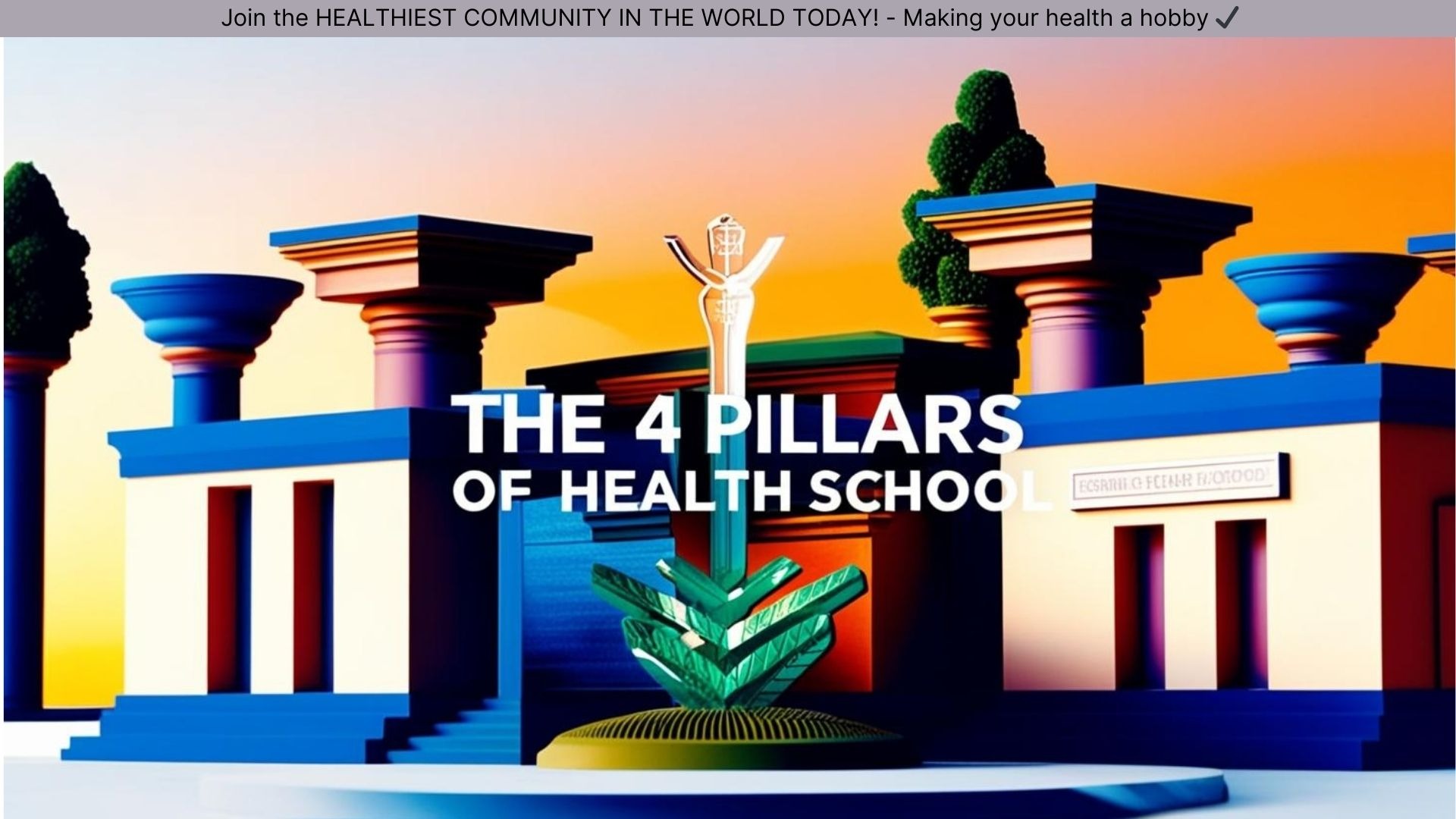 The 4 Pillars of Health School