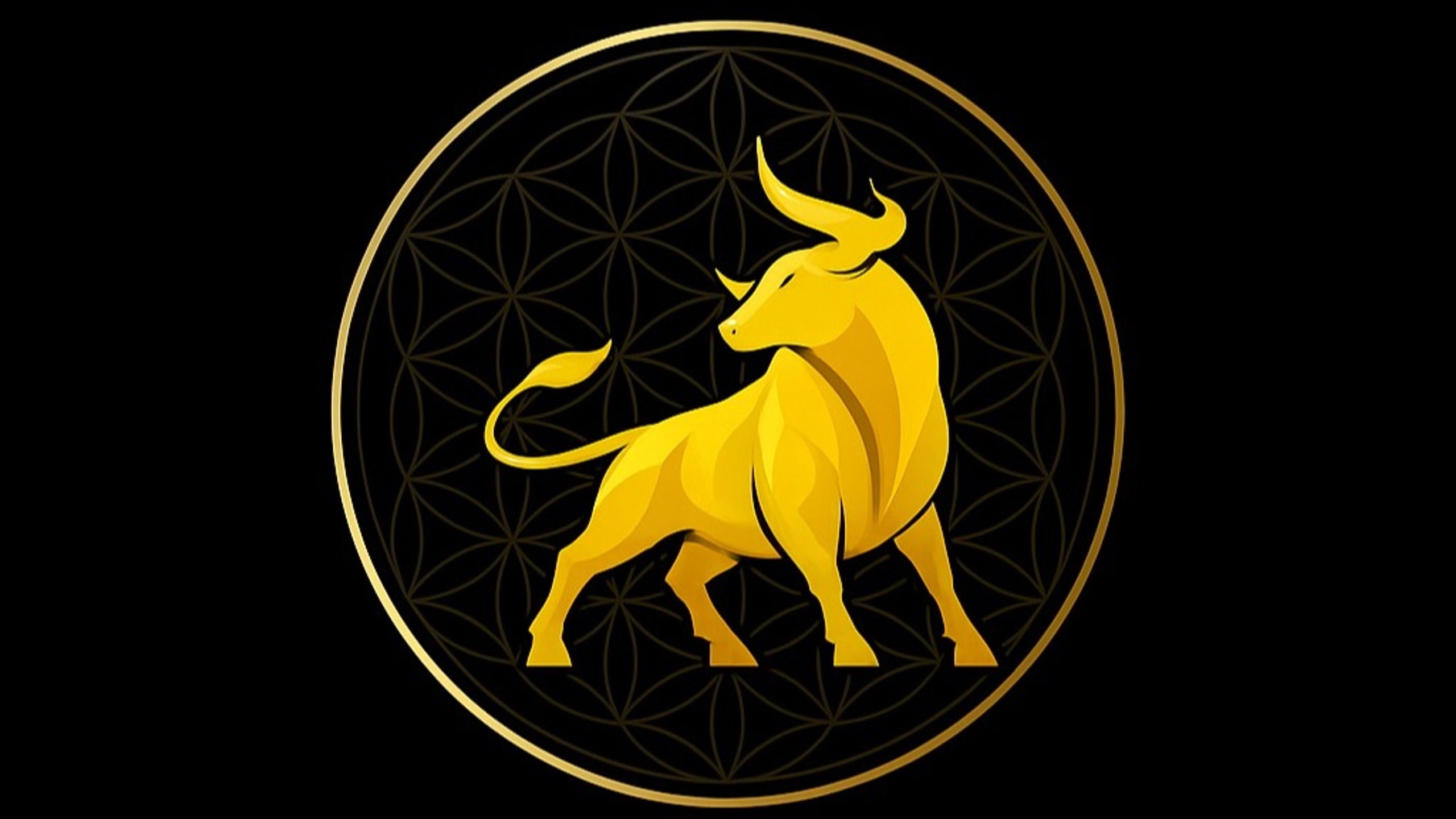 Wealth Builders