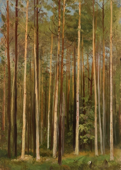Shoirbek