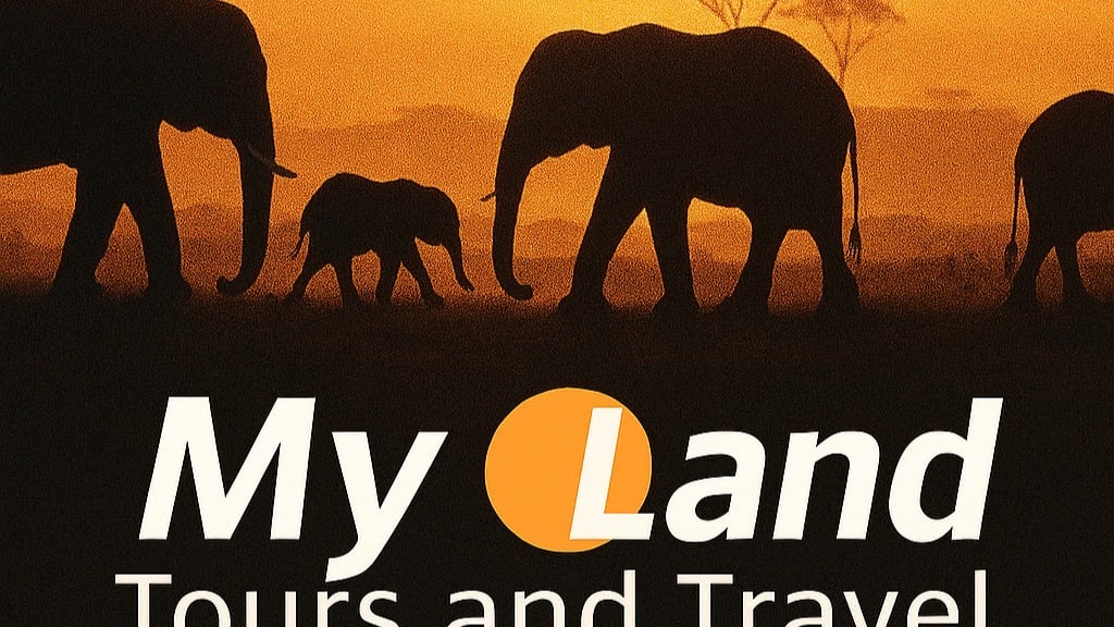 My Land Tours and Travel