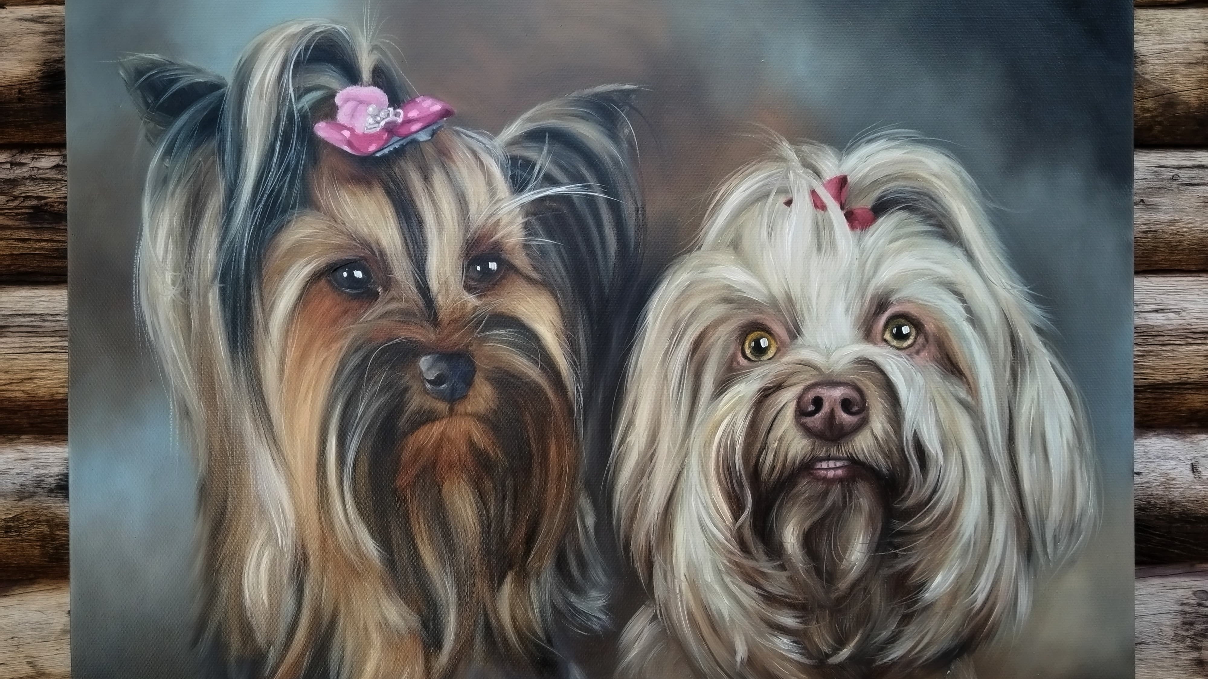 Yorkies. 