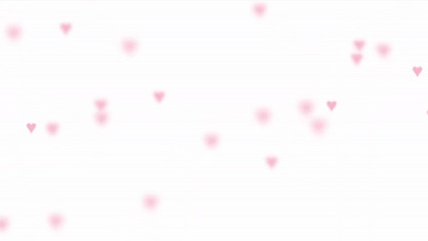 Kittis Flowers