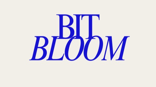 BitBloom