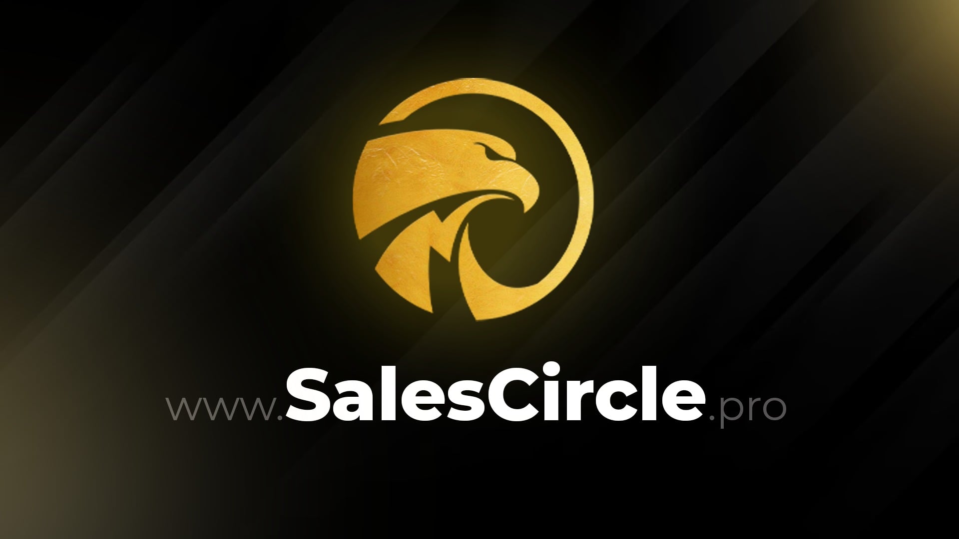 Sales Circle University