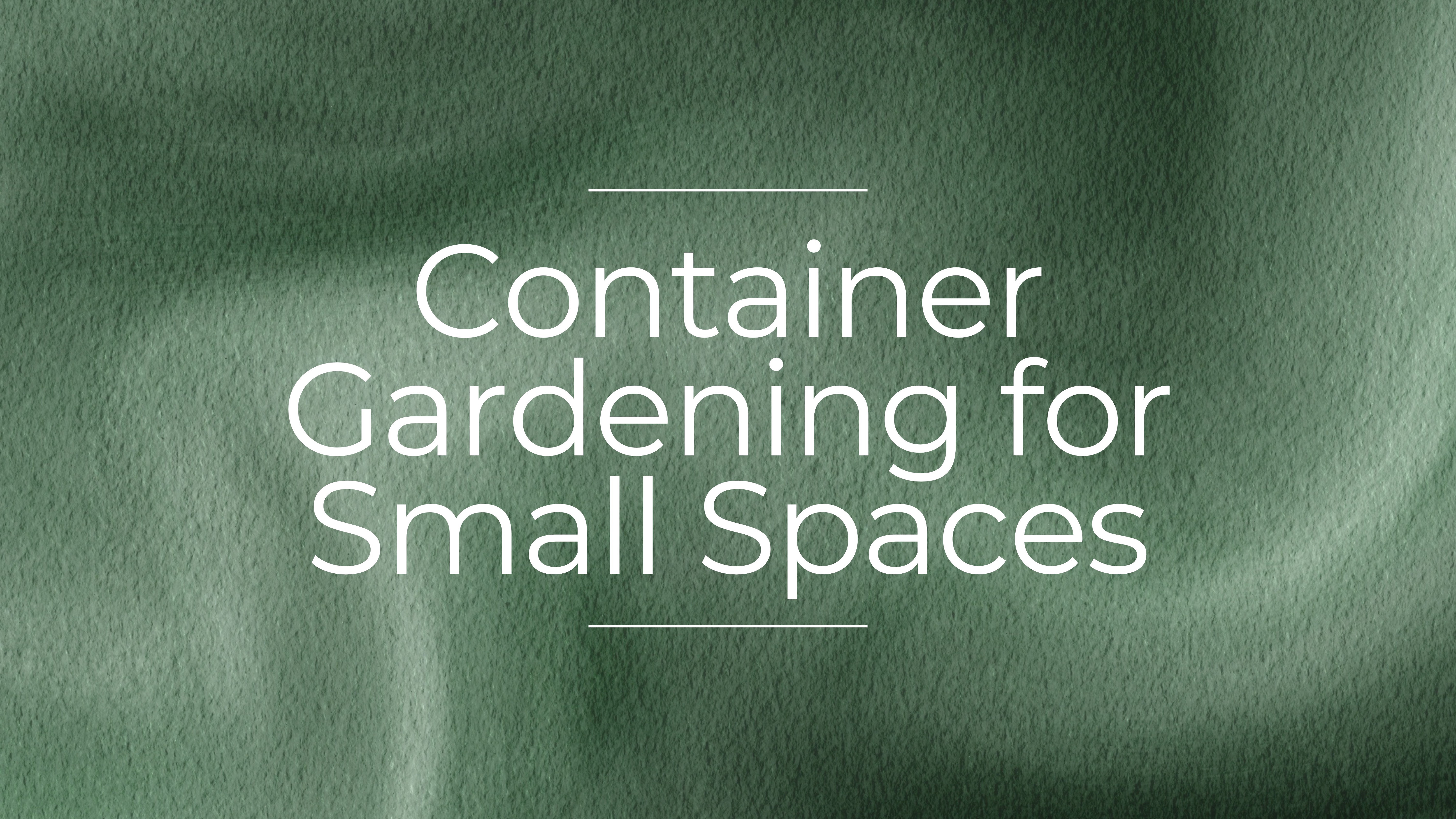 Gardening for Small Spaces