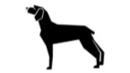 Diet for Dogs kidney disease