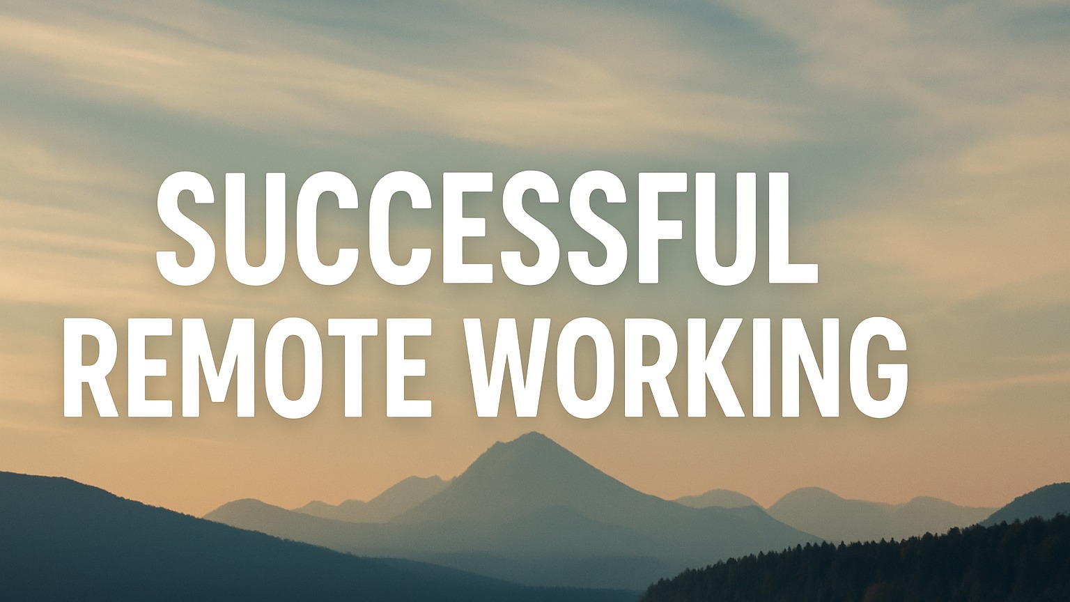 Successful Remote Working