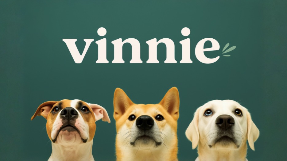 Vinnie's Creator Club
