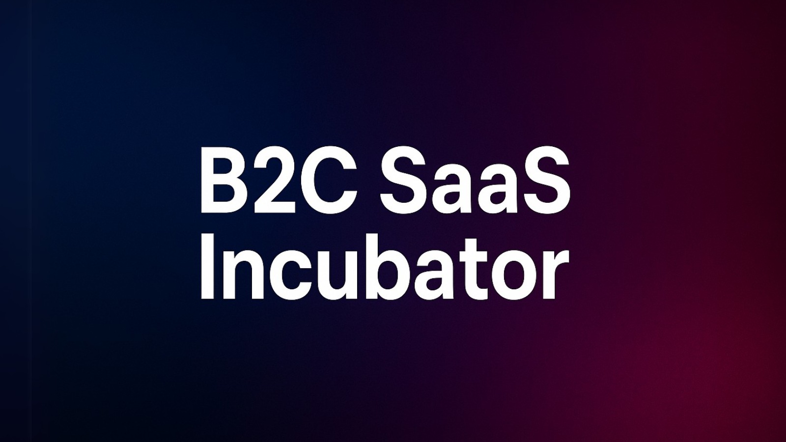 B2C SaaS Incubator