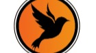 Blackbird Digital PR