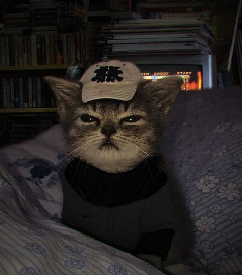 nimi