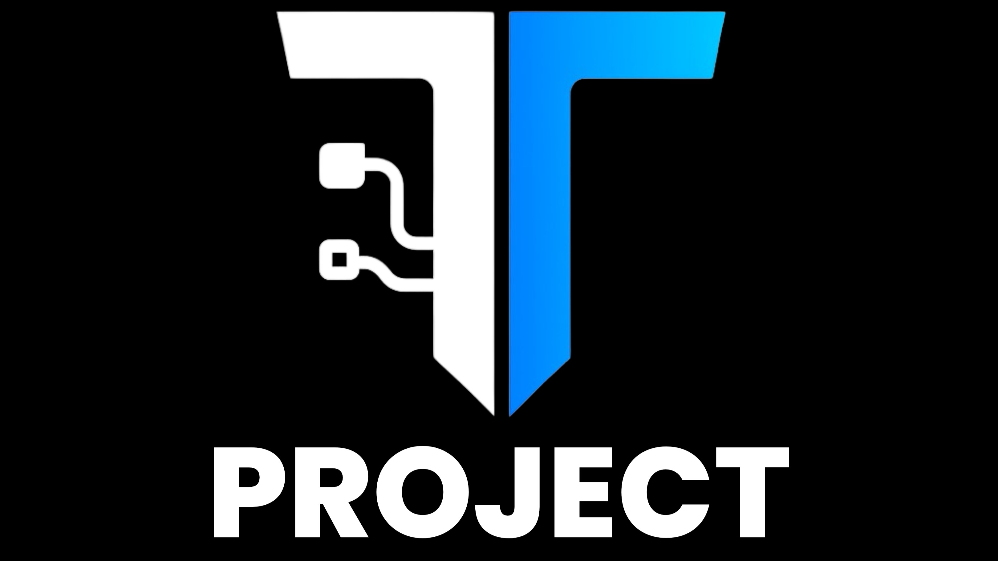 THE T PROJECT