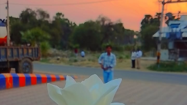 Golu boss