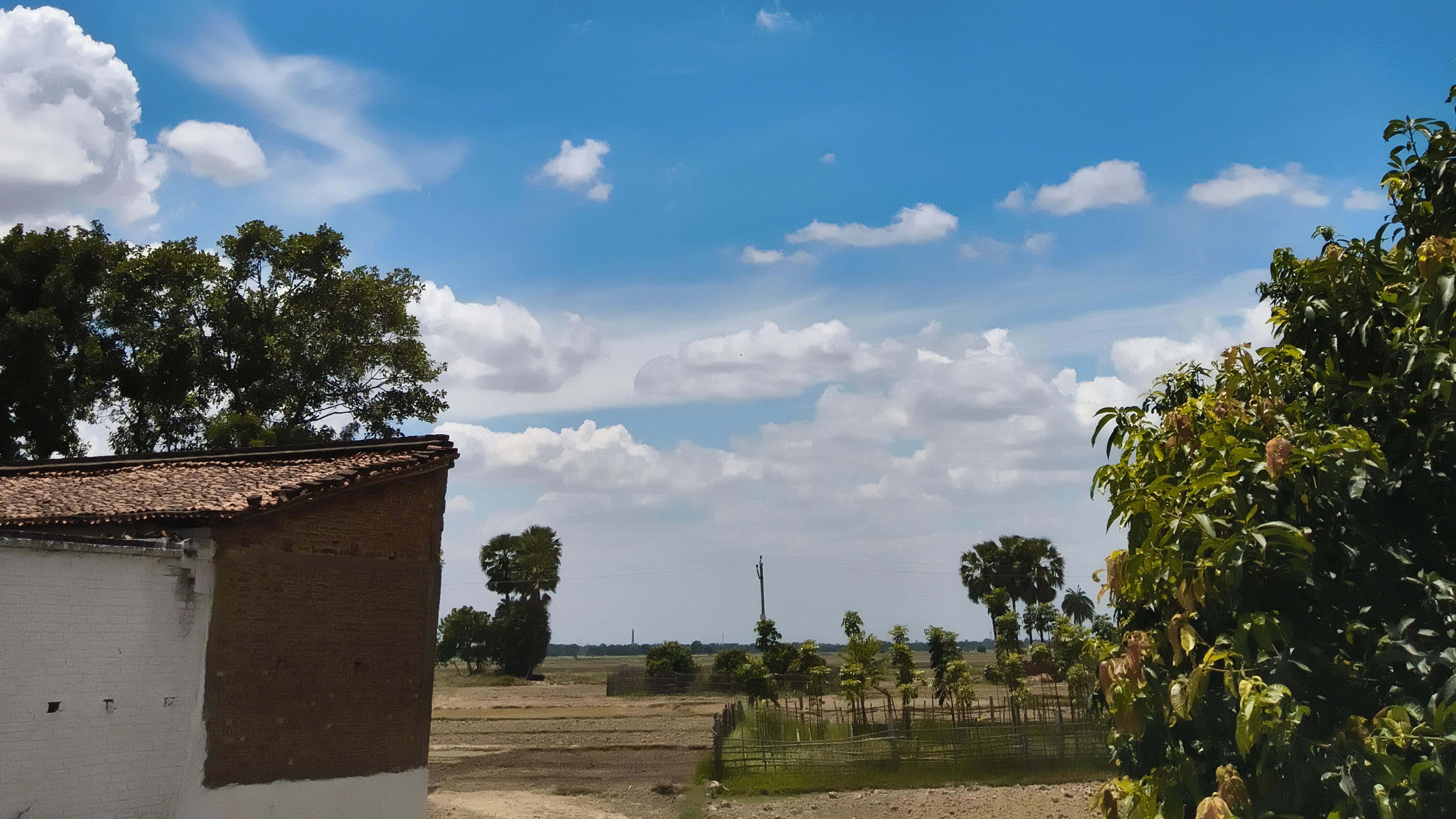 Basshu