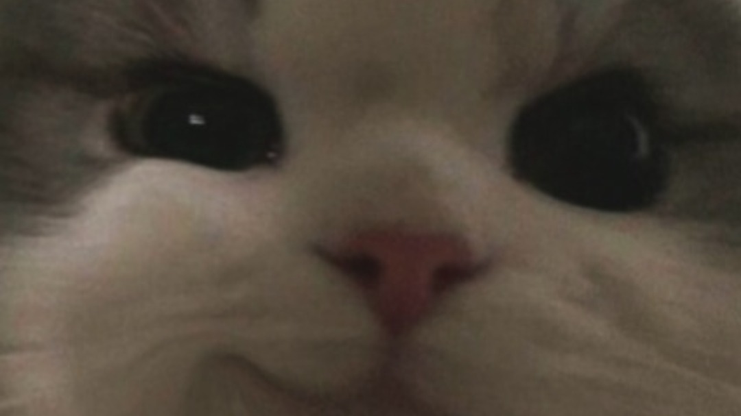 Vedeo