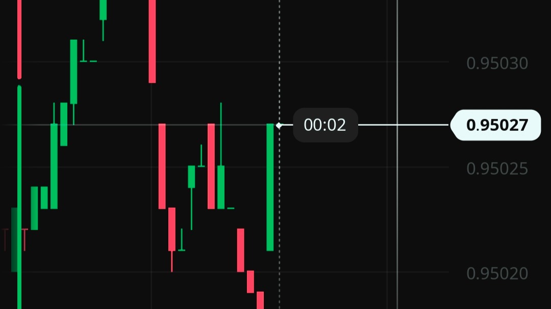 Trader