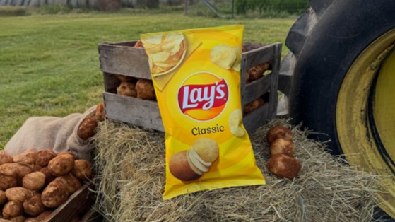 RayLays