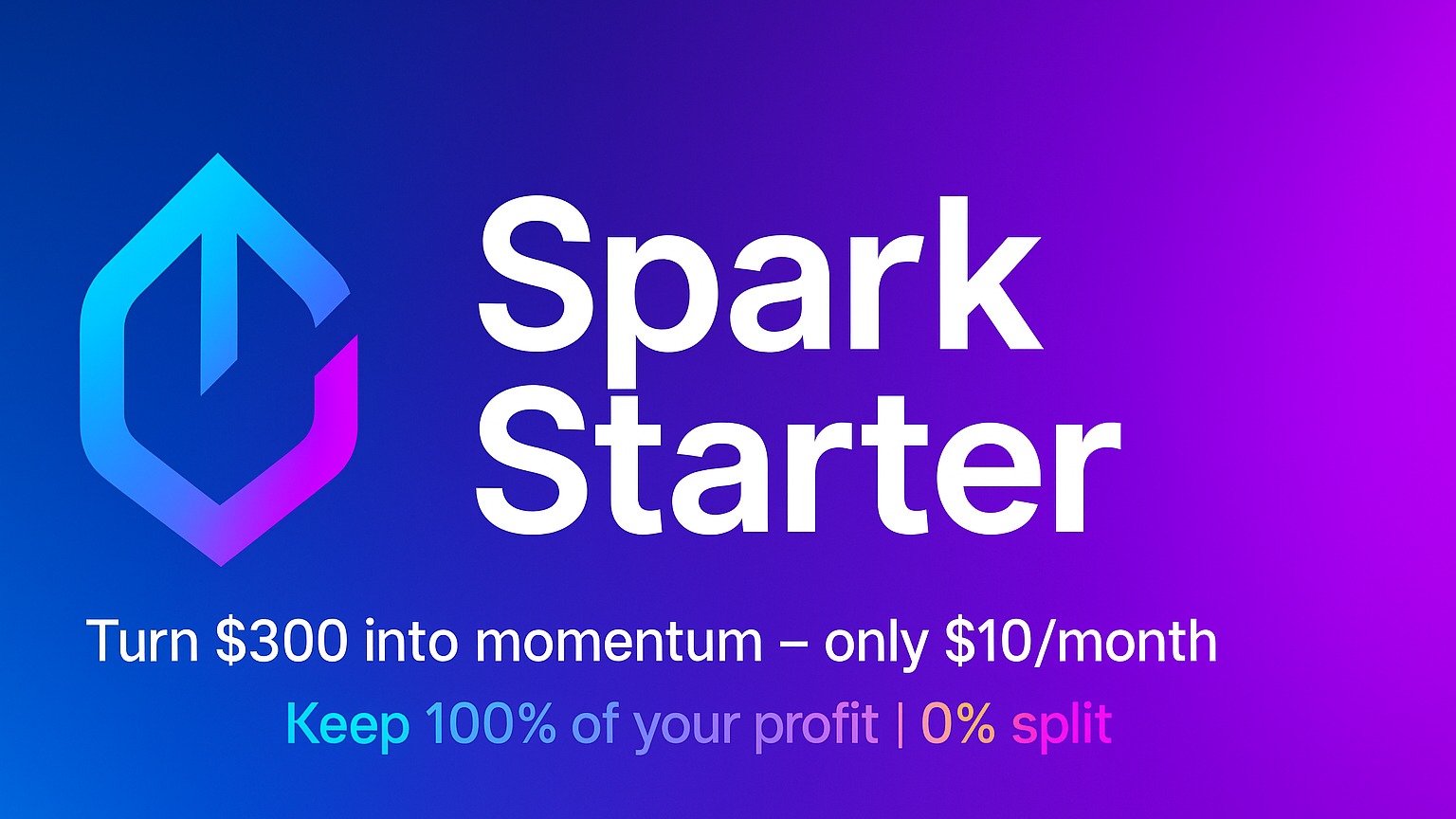 Spark Starter : 300$ to 1000$