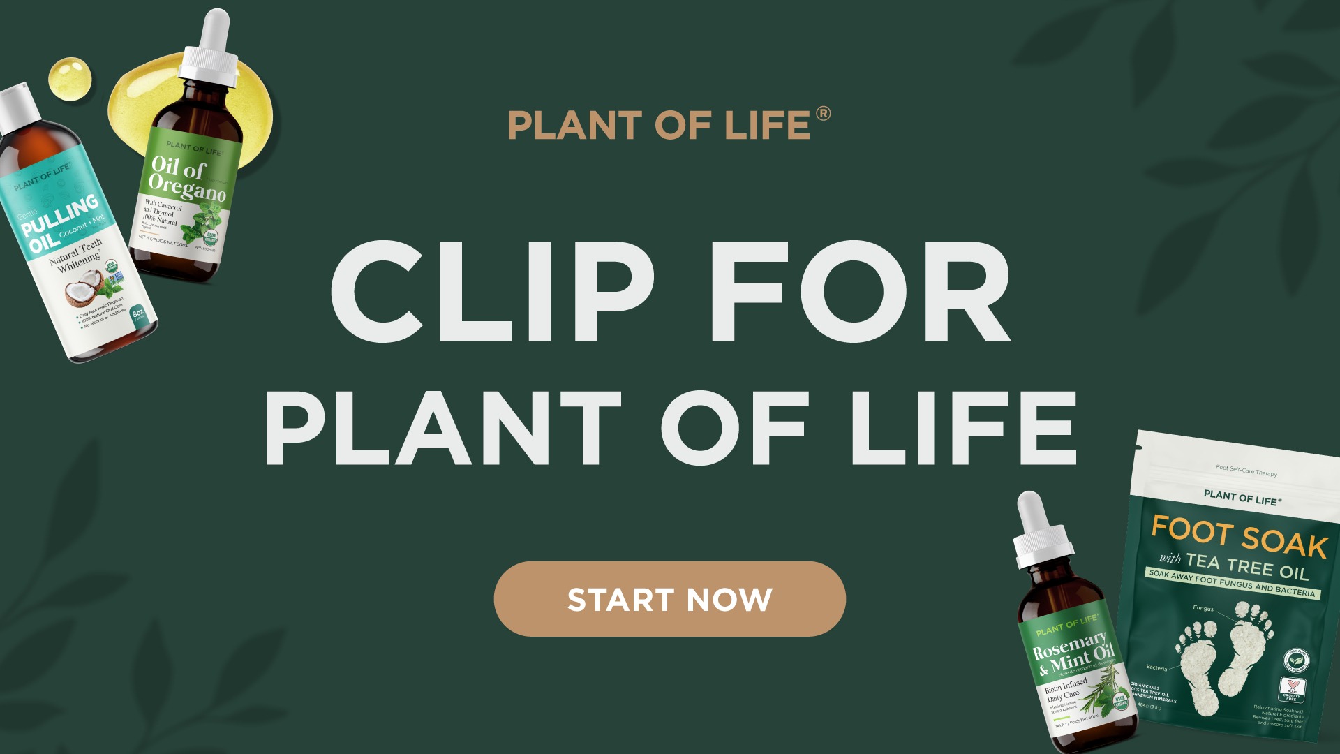 PLANTOFLIFECO CLIPPING