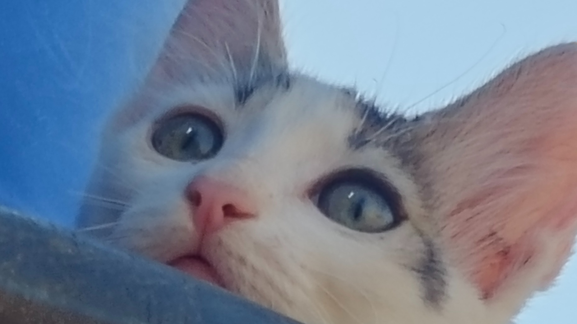Ryomen