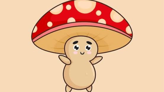 Miss Mushroom