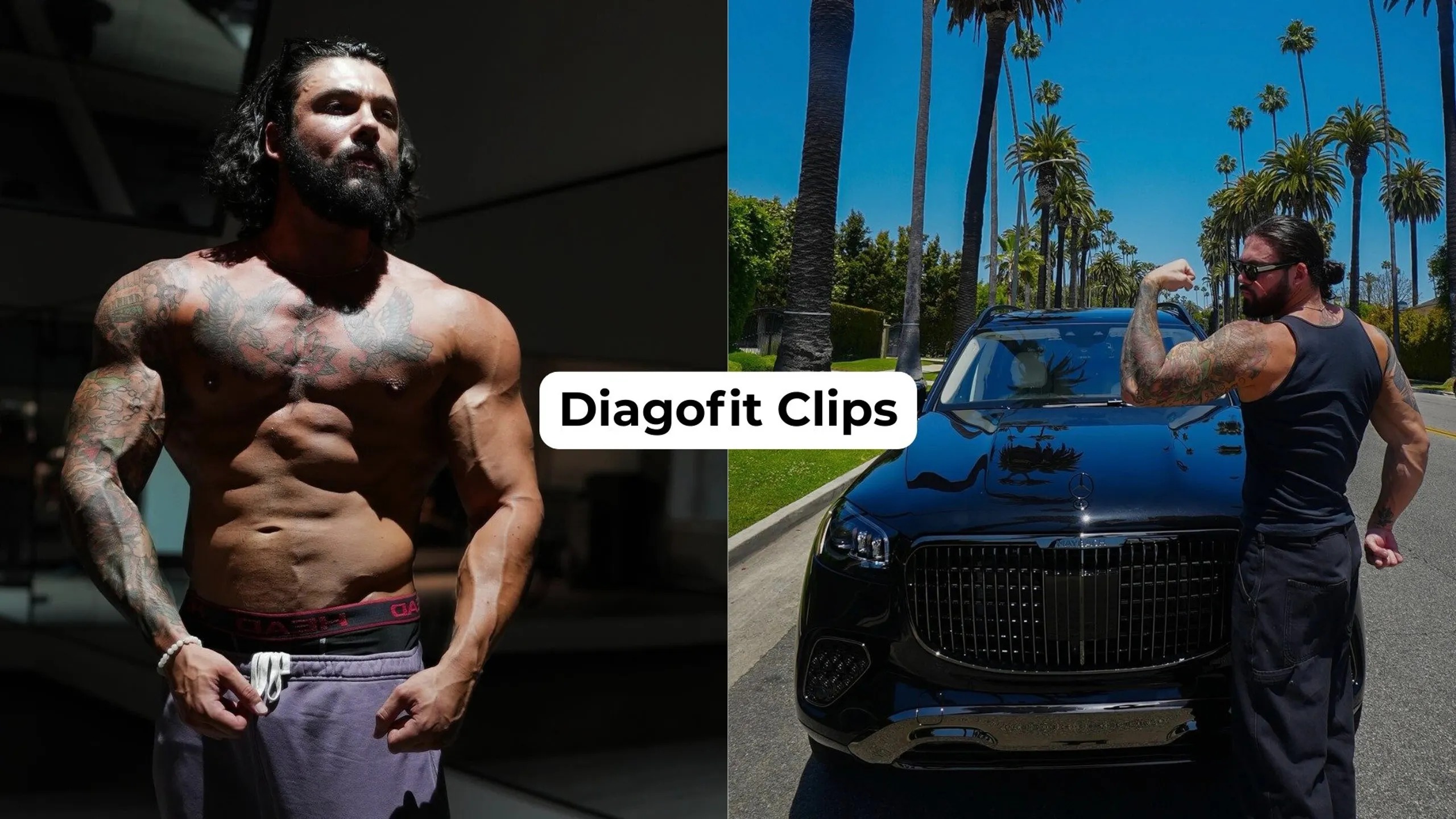 Diagofit Elite Clips