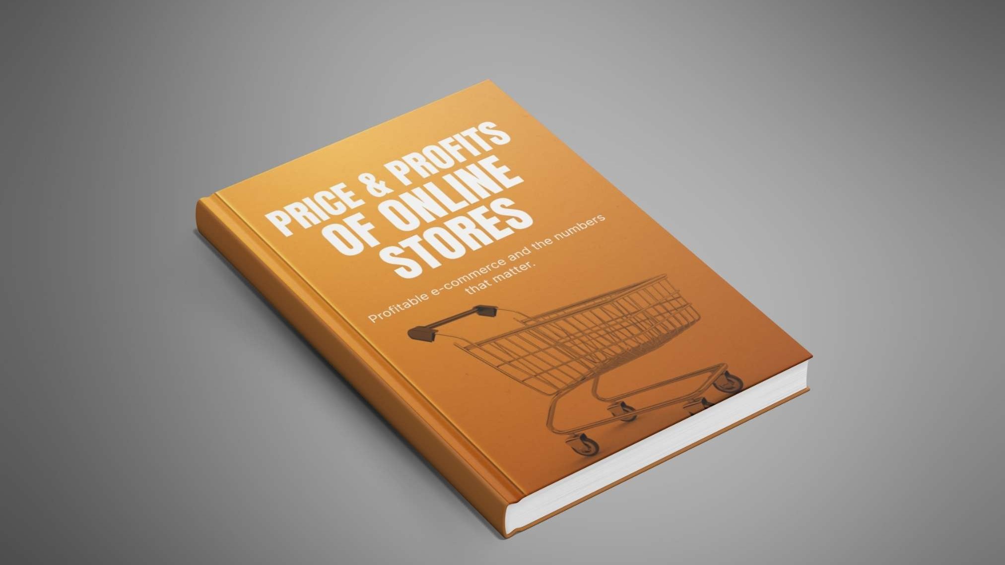 Ecommerce Profit Blueprint