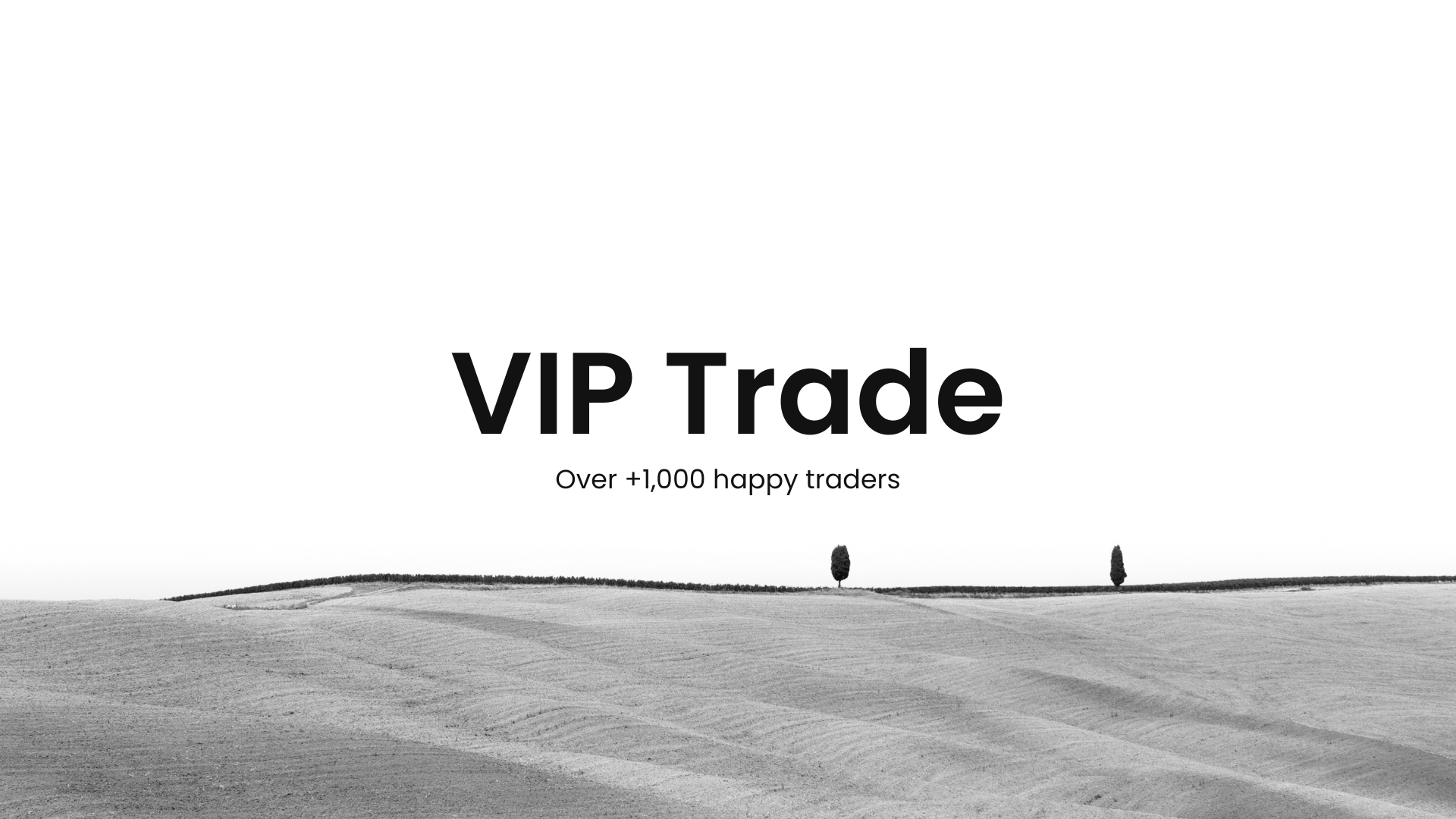 VIP Access