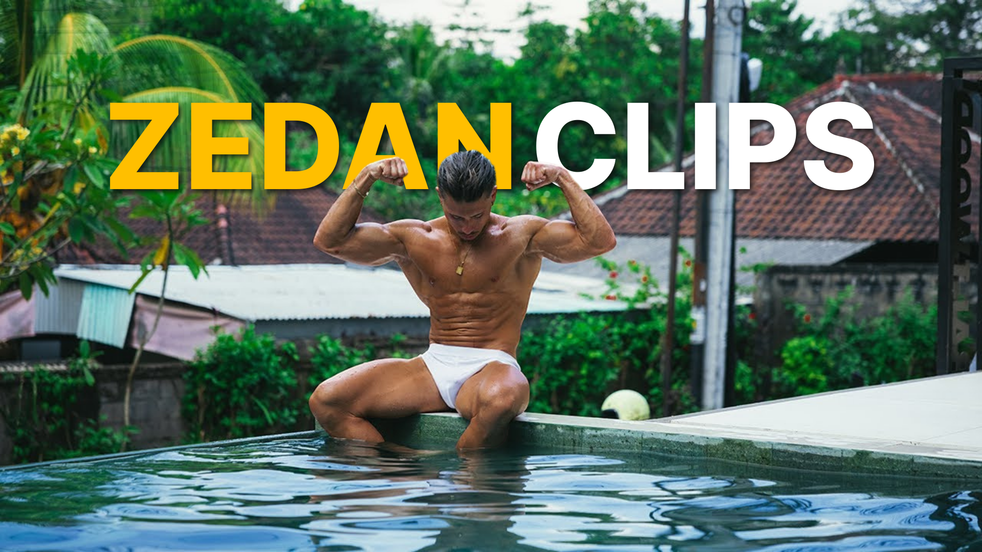 Zedan Mutlu Clipping
