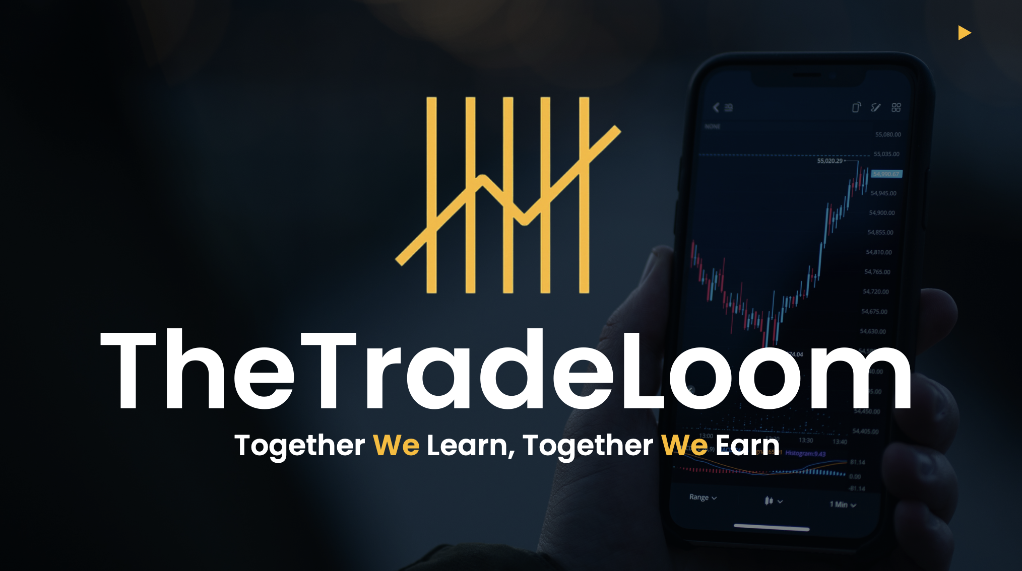 TradeLoom | Pro Access