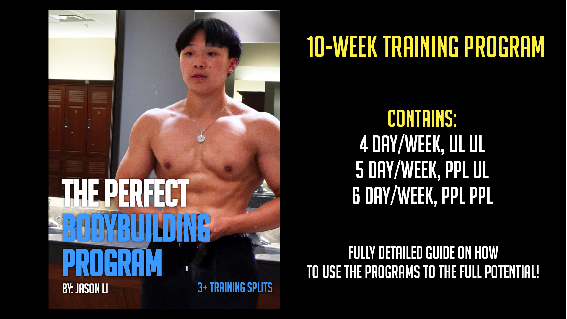 The Bodybuilding Program