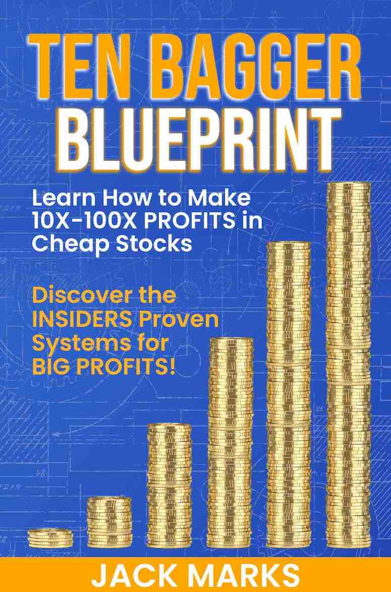 TEN BAGGER Stocks VIDEO Course
