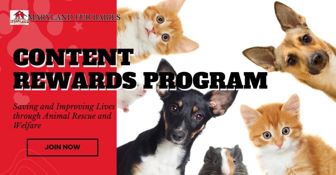 Maryland Fur Babies non-profit