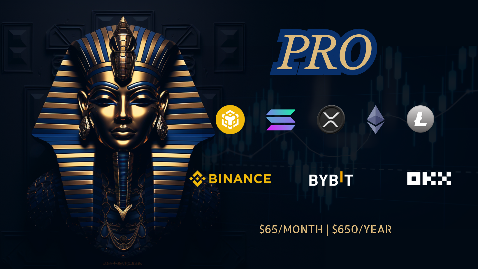 Pro