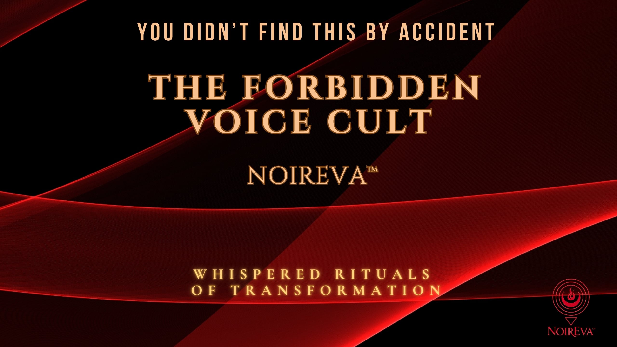 NoirEva's store