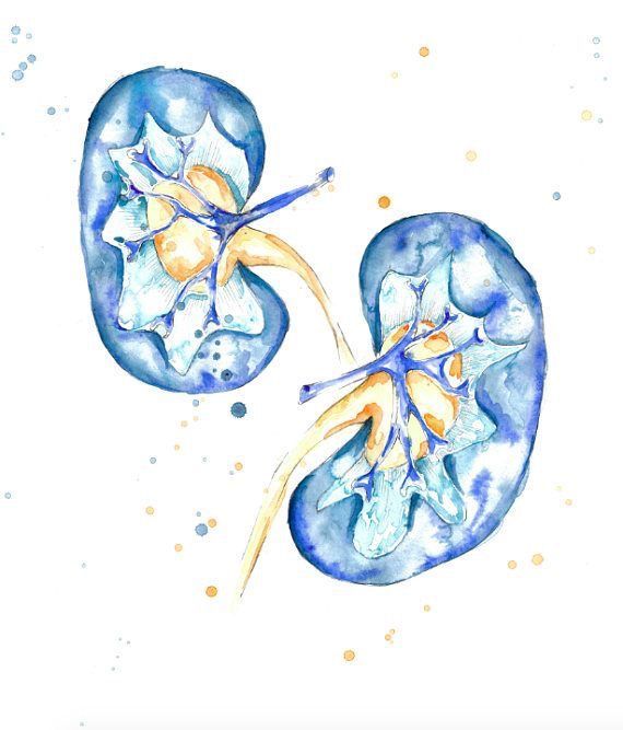 healing your kidneys naturally