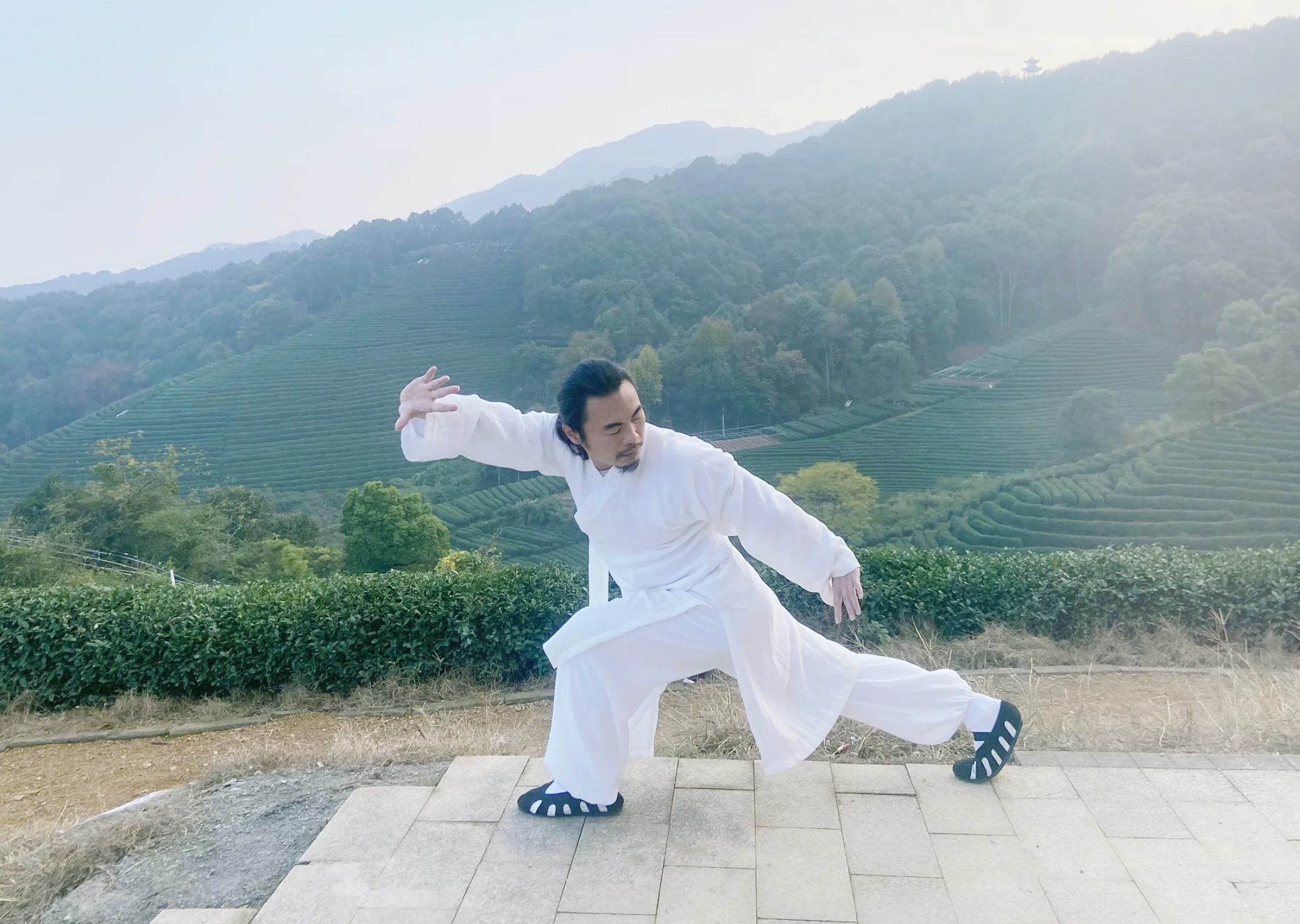 Taoist Energy Mastery & Longev