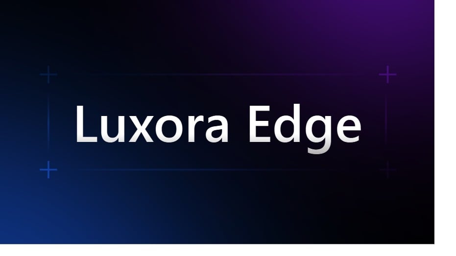 Luxora Edge API Monitor