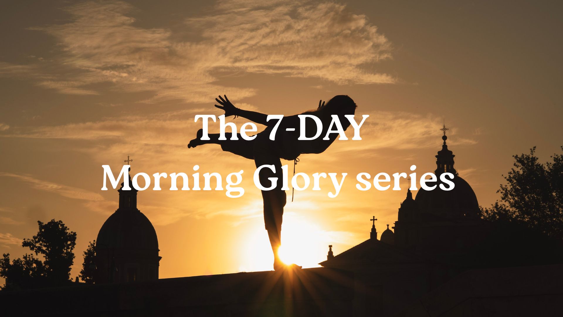 The Morning Glory Series