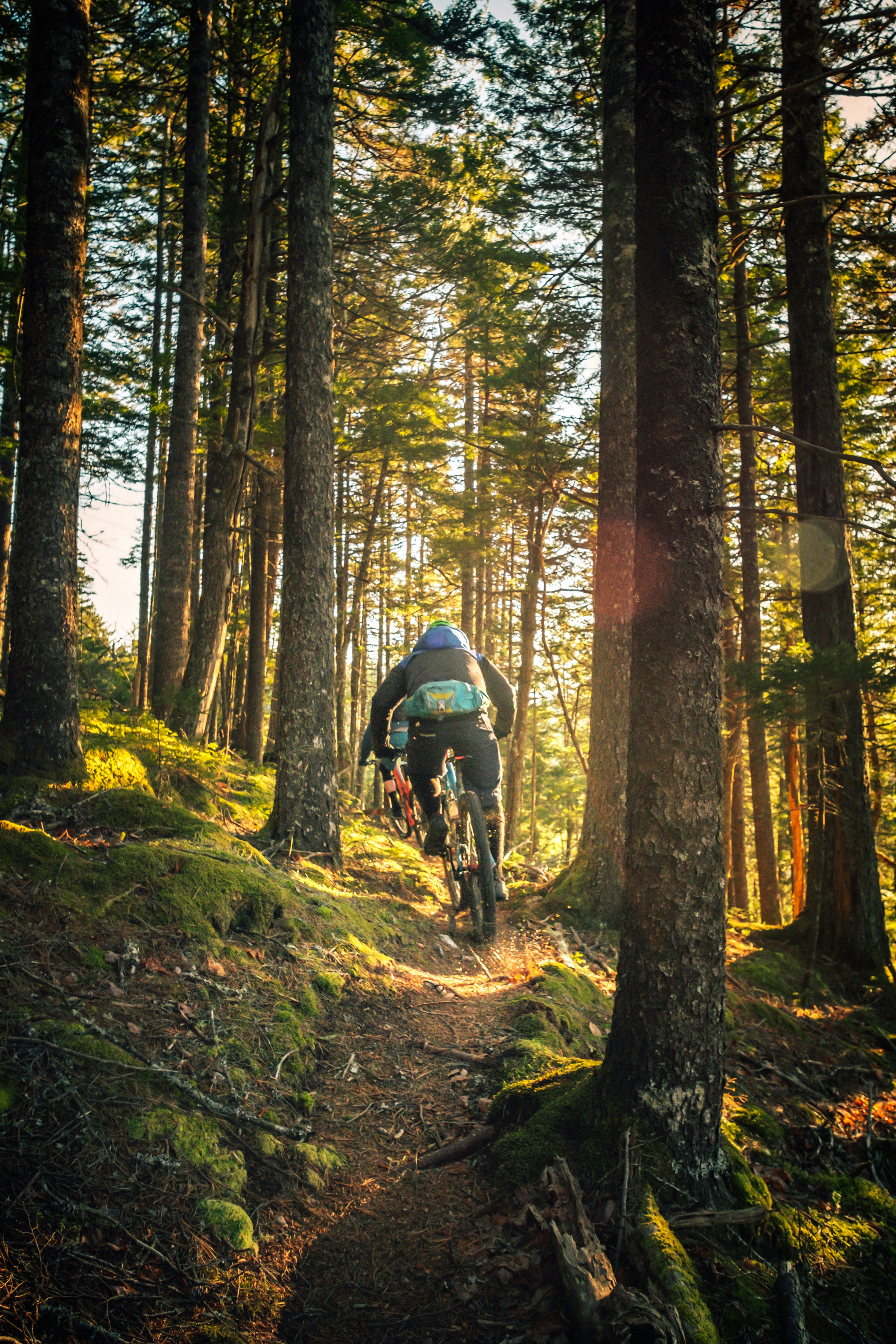 The Ultimate cycling training
