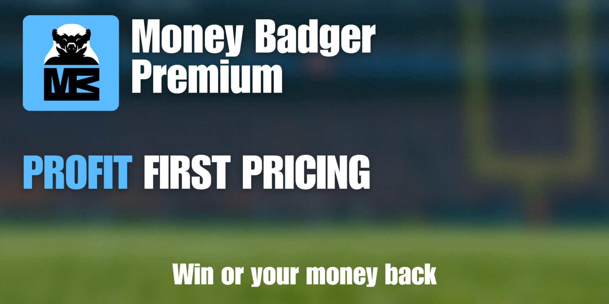 MoneyBadger Premium