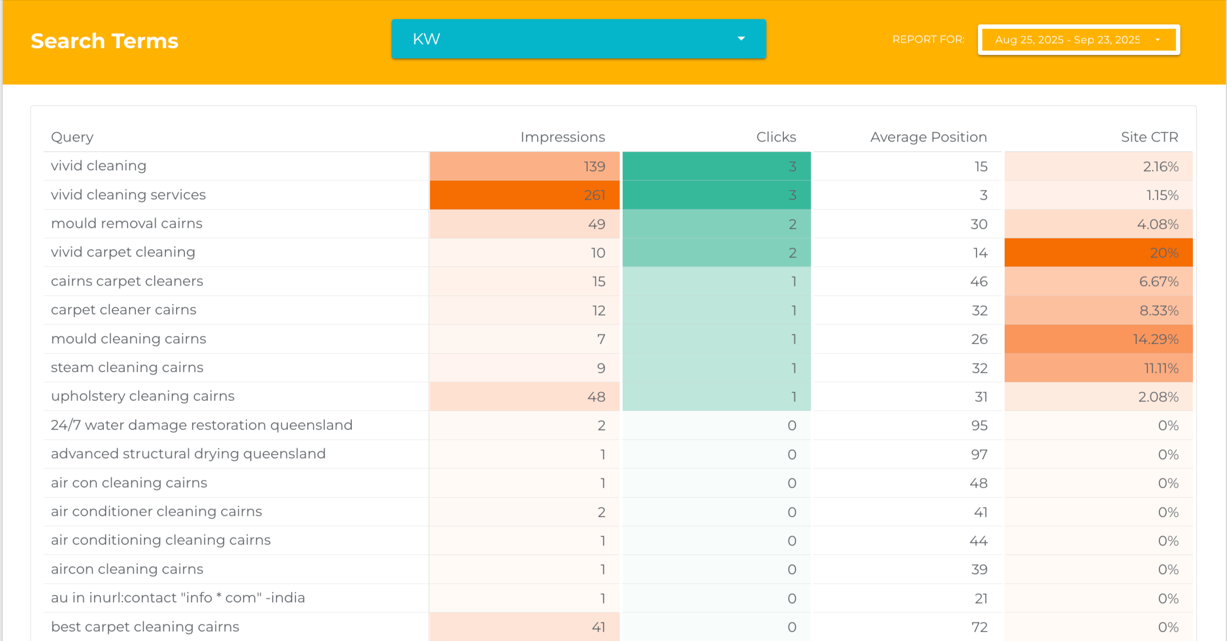 Basic Search Console Report