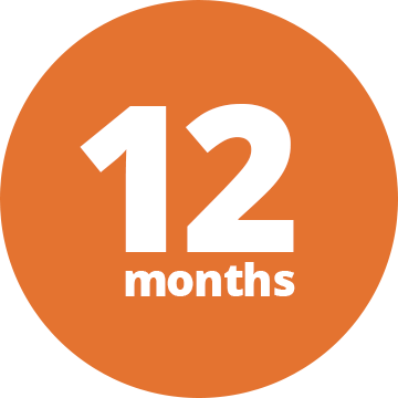 12 Months Plan