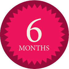 6 Months Plan