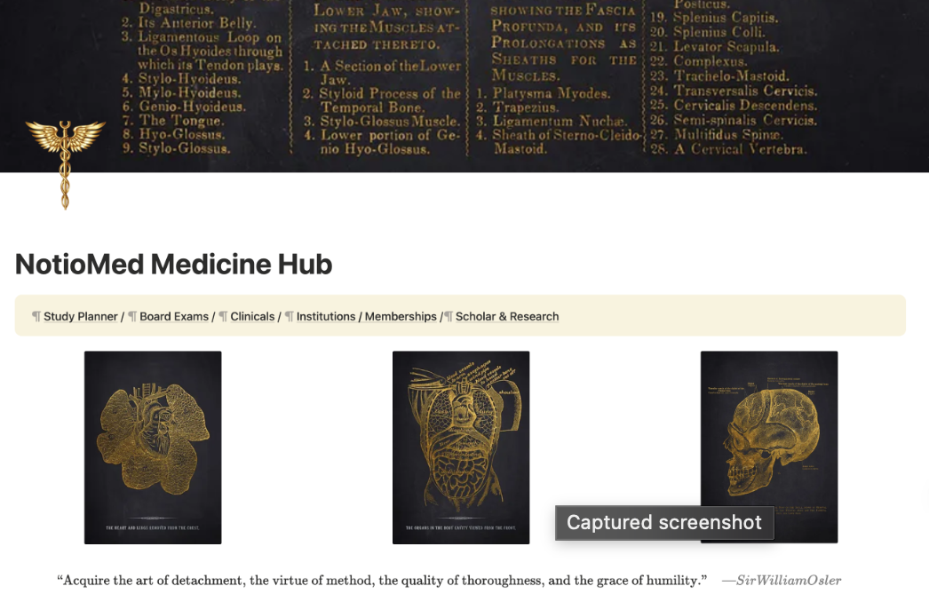 NotioMed Medicine Hub